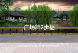 广场舞2步摇