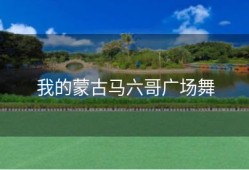 我的蒙古马六哥广场舞