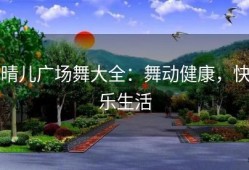 晴儿广场舞大全：舞动健康，快乐生活