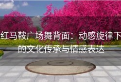 红马鞍广场舞背面：动感旋律下的文化传承与情感表达