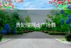 贵妃慢摇dj广场舞