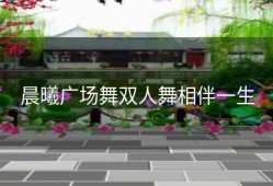 晨曦广场舞双人舞相伴一生