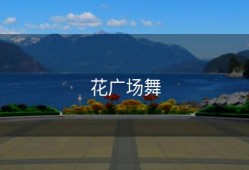 花广场舞