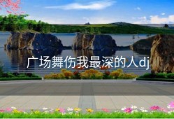 广场舞伤我最深的人dj