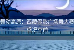 舞动高原：西藏俪影广场舞大赛盛况空前