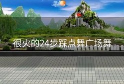 很火的24步踩点舞广场舞