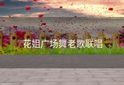 花姐广场舞老歌联唱