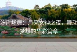 汐广场舞：月亮女神之夜，舞动梦想的华彩篇章