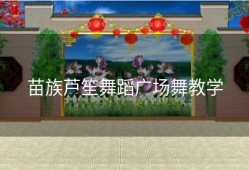 苗族芦笙舞蹈广场舞教学