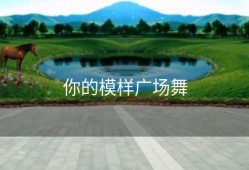 你的模样广场舞