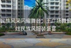 民族风采闪耀舞台：王广场舞最炫民族风服装盛宴