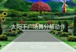 太阳下广场舞分解动作