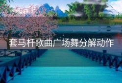 套马杆歌曲广场舞分解动作