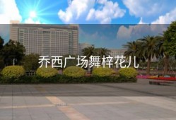 乔西广场舞梓花儿