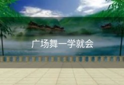 广场舞一学就会