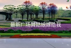 最新广场舞姑娘嫁给我