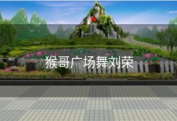 猴哥广场舞刘荣