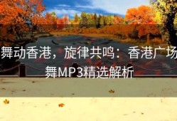 舞动香港，旋律共鸣：香港广场舞MP3精选解析