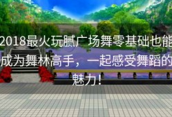 2018最火玩腻广场舞零基础也能成为舞林高手，一起感受舞蹈的魅力！