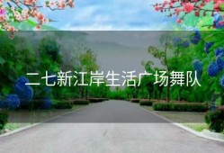 二七新江岸生活广场舞队
