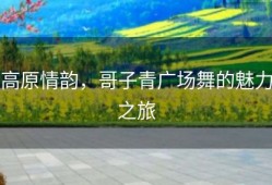 高原情韵，哥子青广场舞的魅力之旅