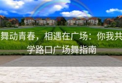 舞动青春，相遇在广场：你我共学路口广场舞指南