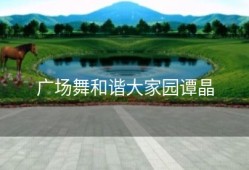 广场舞和谐大家园谭晶