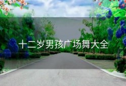 十二岁男孩广场舞大全