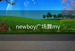 newboy广场舞mv