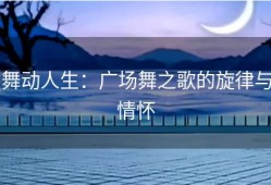 舞动人生：广场舞之歌的旋律与情怀