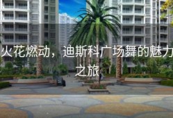 火花燃动，迪斯科广场舞的魅力之旅