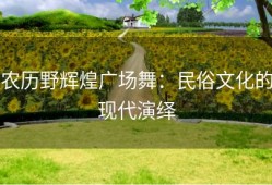 农历野辉煌广场舞：民俗文化的现代演绎