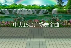 中央15台广场舞金曲