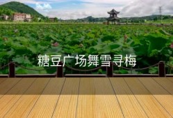 糖豆广场舞雪寻梅