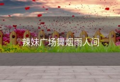 辣妹广场舞烟雨人间