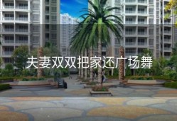 夫妻双双把家还广场舞