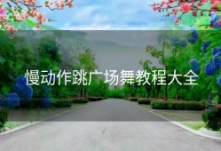 慢动作跳广场舞教程大全