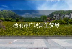 杨丽萍广场舞尘梦缘