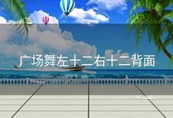 广场舞左十二右十二背面