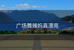 广场舞辣妈真漂亮