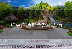 红豆广场舞全部相思债