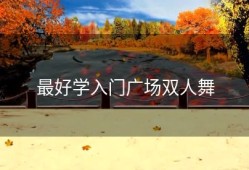 最好学入门广场双人舞