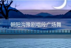 朝阳沟豫剧唱段广场舞