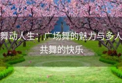 舞动人生：广场舞的魅力与多人共舞的快乐