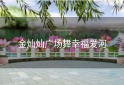 金灿灿广场舞幸福爱河