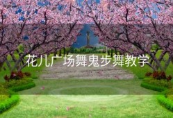 花儿广场舞鬼步舞教学