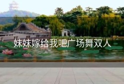 妹妹嫁给我吧广场舞双人