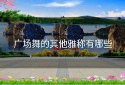 广场舞的其他雅称有哪些