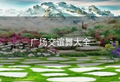 广场交谊舞大全