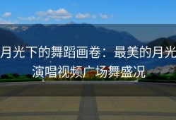 月光下的舞蹈画卷：最美的月光演唱视频广场舞盛况